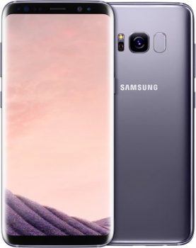 Samsung Galaxy S8 64Gb Grey (SM-G950F)